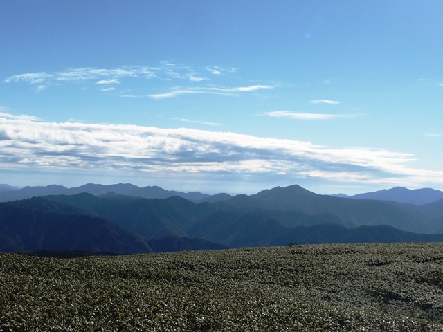 b0227552_19253685.jpg
