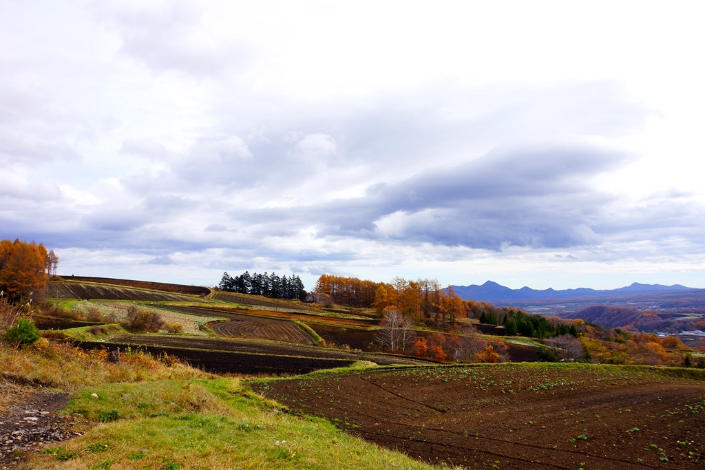 autumn scenery(長野県～群馬県つまごいパノラマライン）_e0223456_1122957.jpg