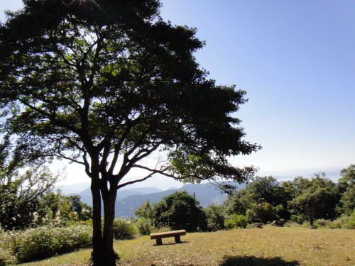 c0256558_9164826.jpg