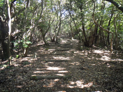 c0256558_916962.jpg