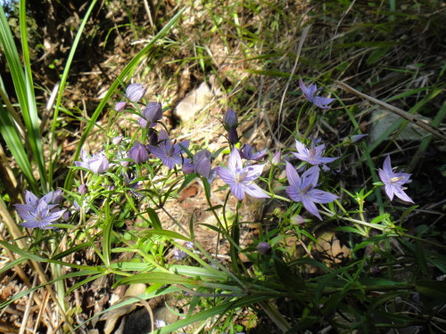 c0256558_920334.jpg