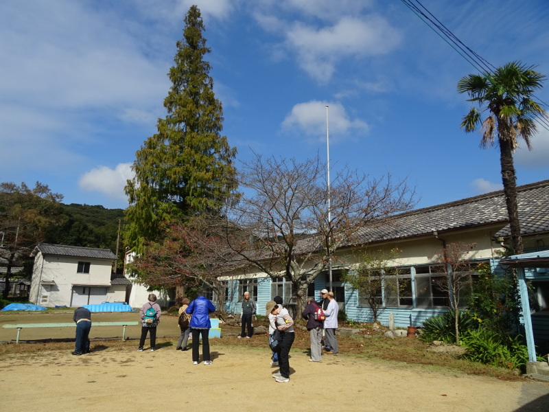 貝塚シルバーライフの「林間学校」　　in　　孝子の森_c0108460_22284854.jpg