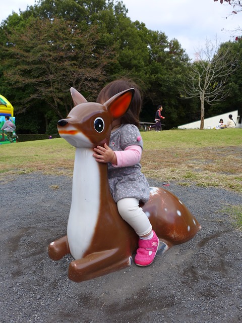 c0134862_232827.jpg