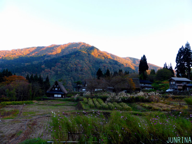 d0110562_22171419.jpg