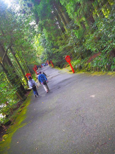 箱根ことりっぷ　箱根神社で縁結い祈願_b0349673_12494724.jpg