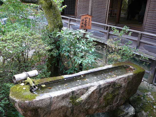 d0104974_1122326.jpg