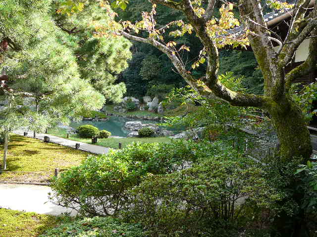 d0104974_11224969.jpg