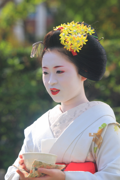 きもので集う園遊会 ~芸舞妓編~_e0051888_6352675.jpg