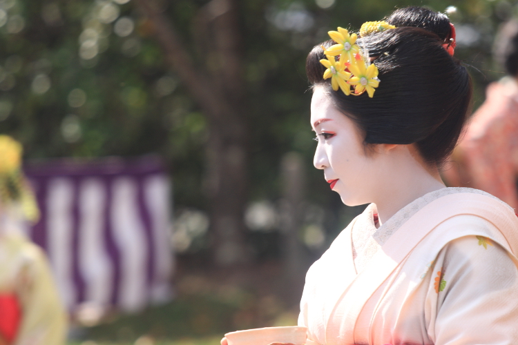 きもので集う園遊会 ~芸舞妓編~_e0051888_6355719.jpg