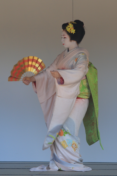 きもので集う園遊会 ~芸舞妓編~_e0051888_6365456.jpg