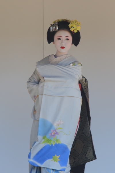 きもので集う園遊会 ~芸舞妓編~_e0051888_637591.jpg