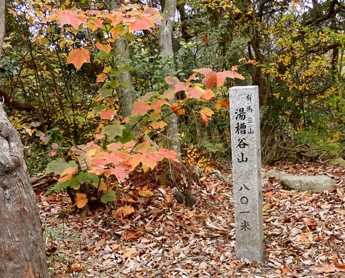 有馬三山から六甲最高峰・東縦走路へ_d0125589_14393371.jpg