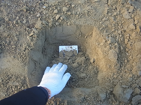 f0229593_859256.jpg