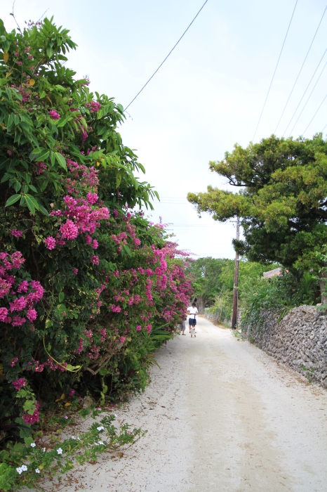 のんびり～と竹富島　_a0222794_20490027.jpg