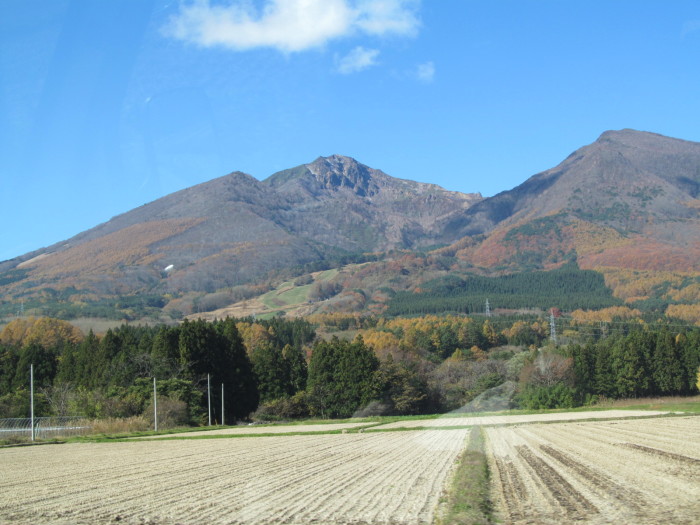 f0081398_20090902.jpg