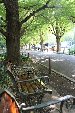 c0306400_10442220.jpg