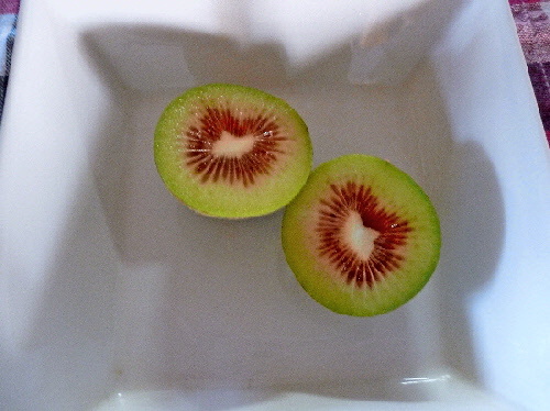 f0178701_1324394.jpg