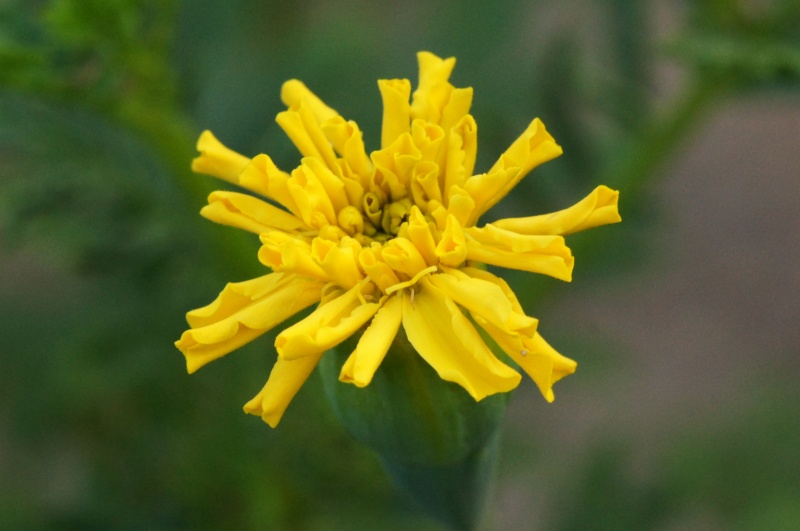 e0039703_21163341.jpg