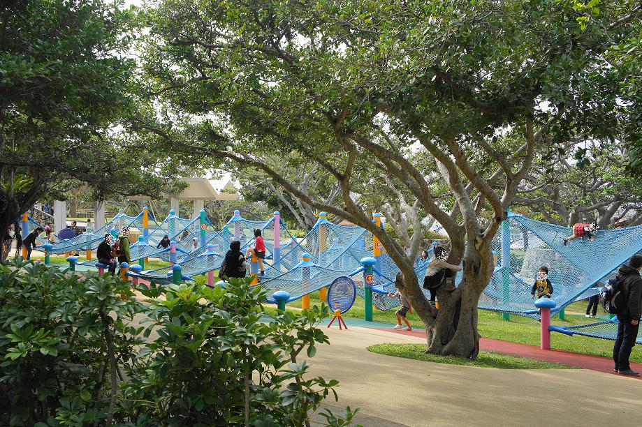 b0139906_22285569.jpg
