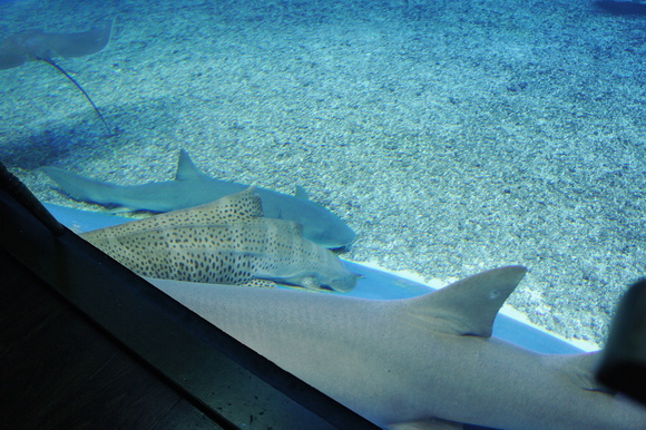 b0139906_2240297.jpg