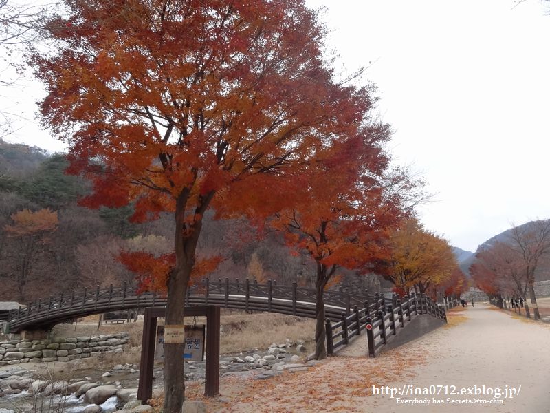 2012.11月 ソウル＆聞慶への旅vol.4　聞慶 : セジェ道立公園(문경새재도립공원)   _f0077406_015832.jpg