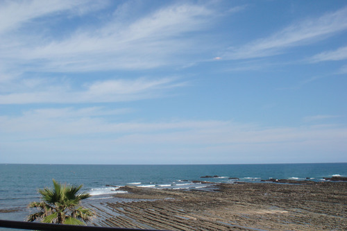 a0019212_11422278.jpg