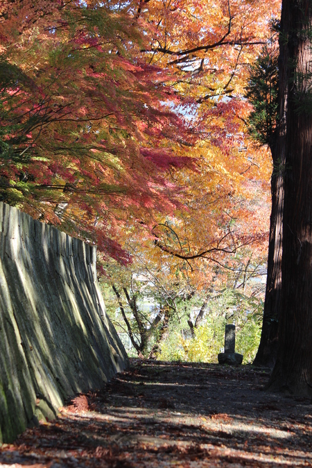 昌禅寺の紅葉～長野市_a0315813_0134439.jpg