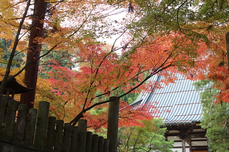 昌禅寺の紅葉～長野市_a0315813_0195662.jpg