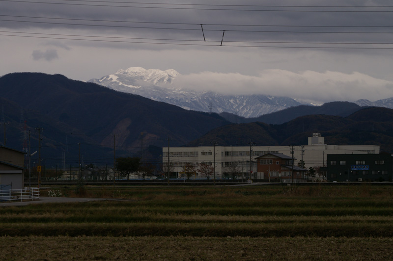 a0278914_112015.jpg