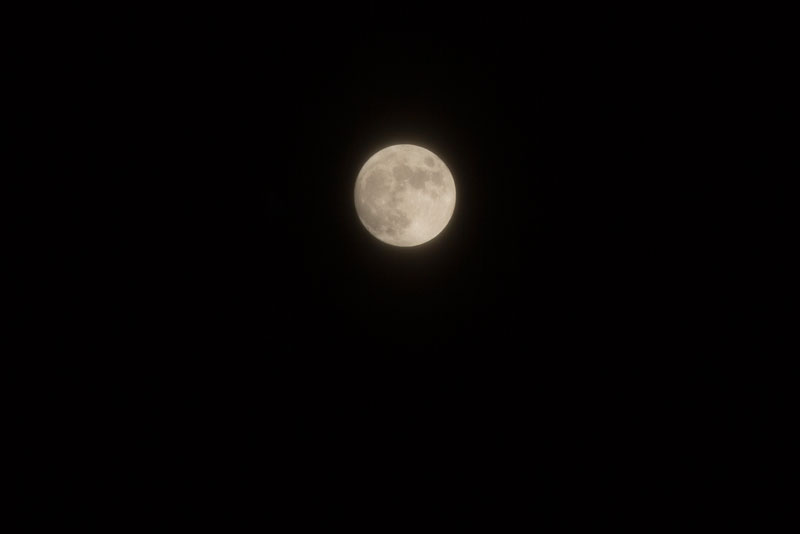 a0278914_4583835.jpg