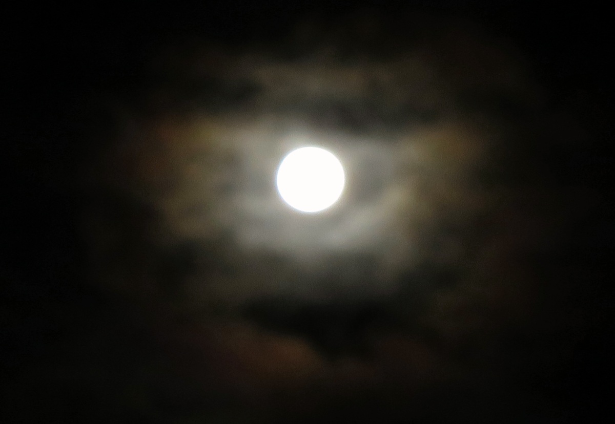 c0331825_15565597.jpg