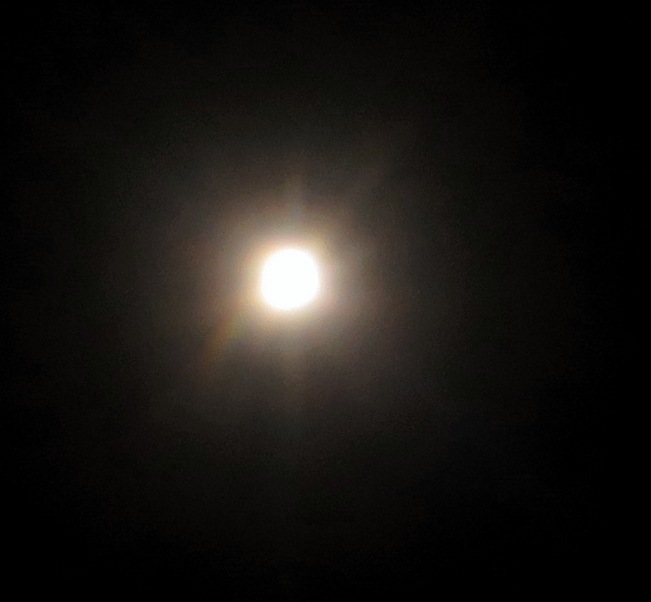c0331825_16241652.jpg