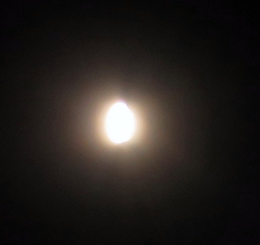 c0331825_16244161.jpg
