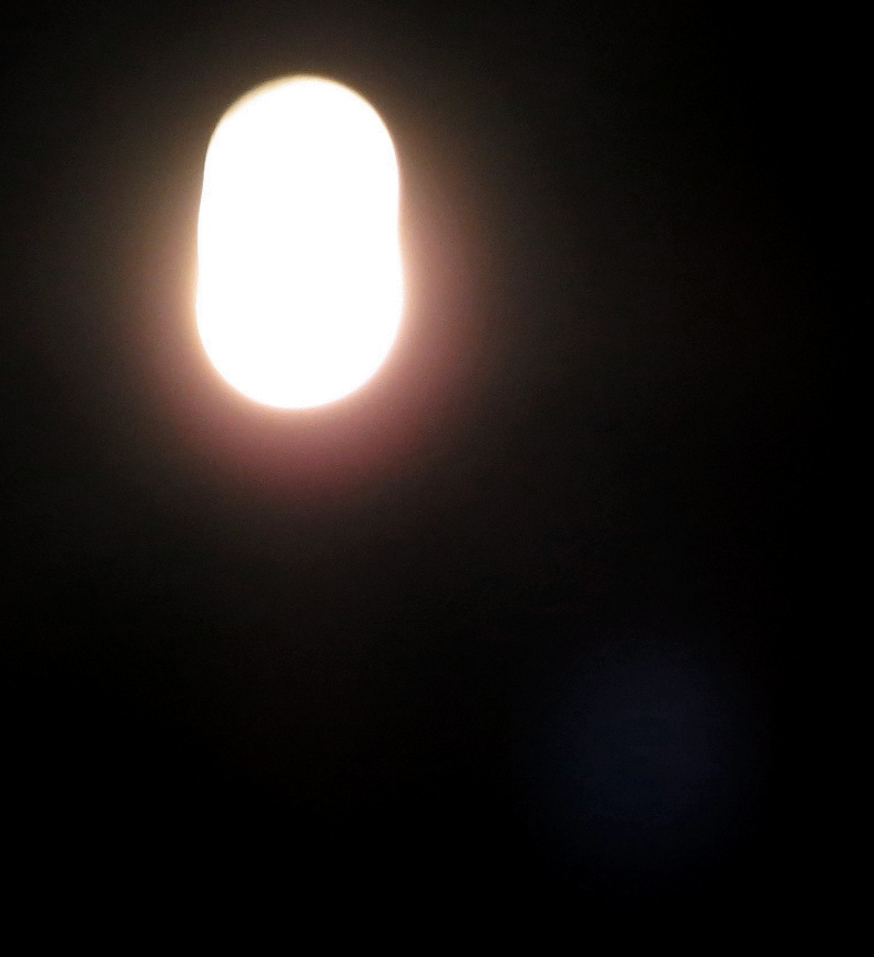 c0331825_16282641.jpg