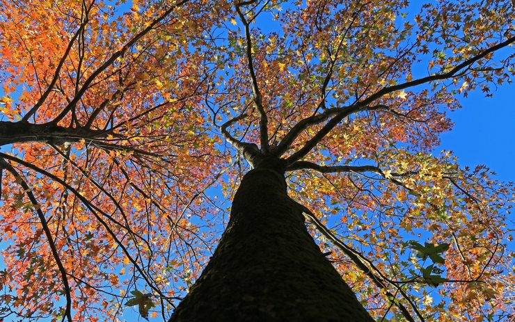 c0104227_0482619.jpg