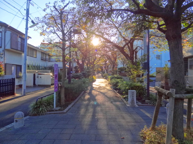 e0016828_11522021.jpg