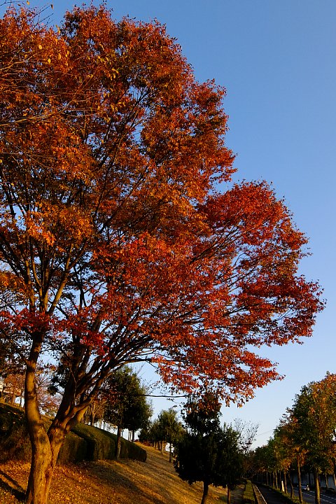 b0134829_1826038.jpg