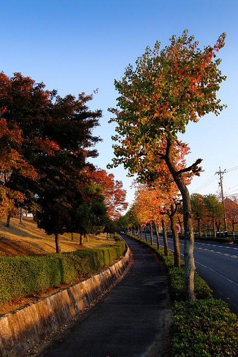 b0134829_18264090.jpg