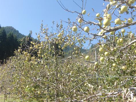 b0137933_06087.jpg