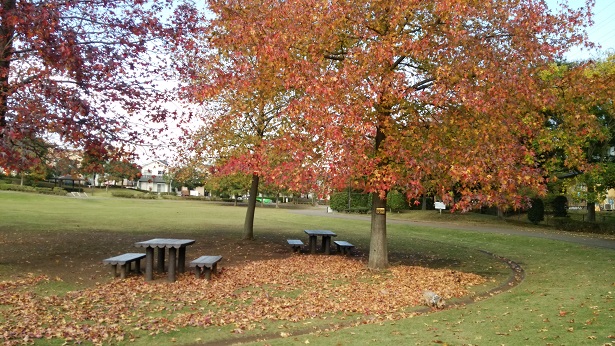 f0002833_22443694.jpg