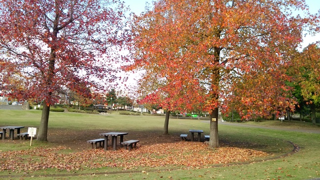 f0002833_22455189.jpg