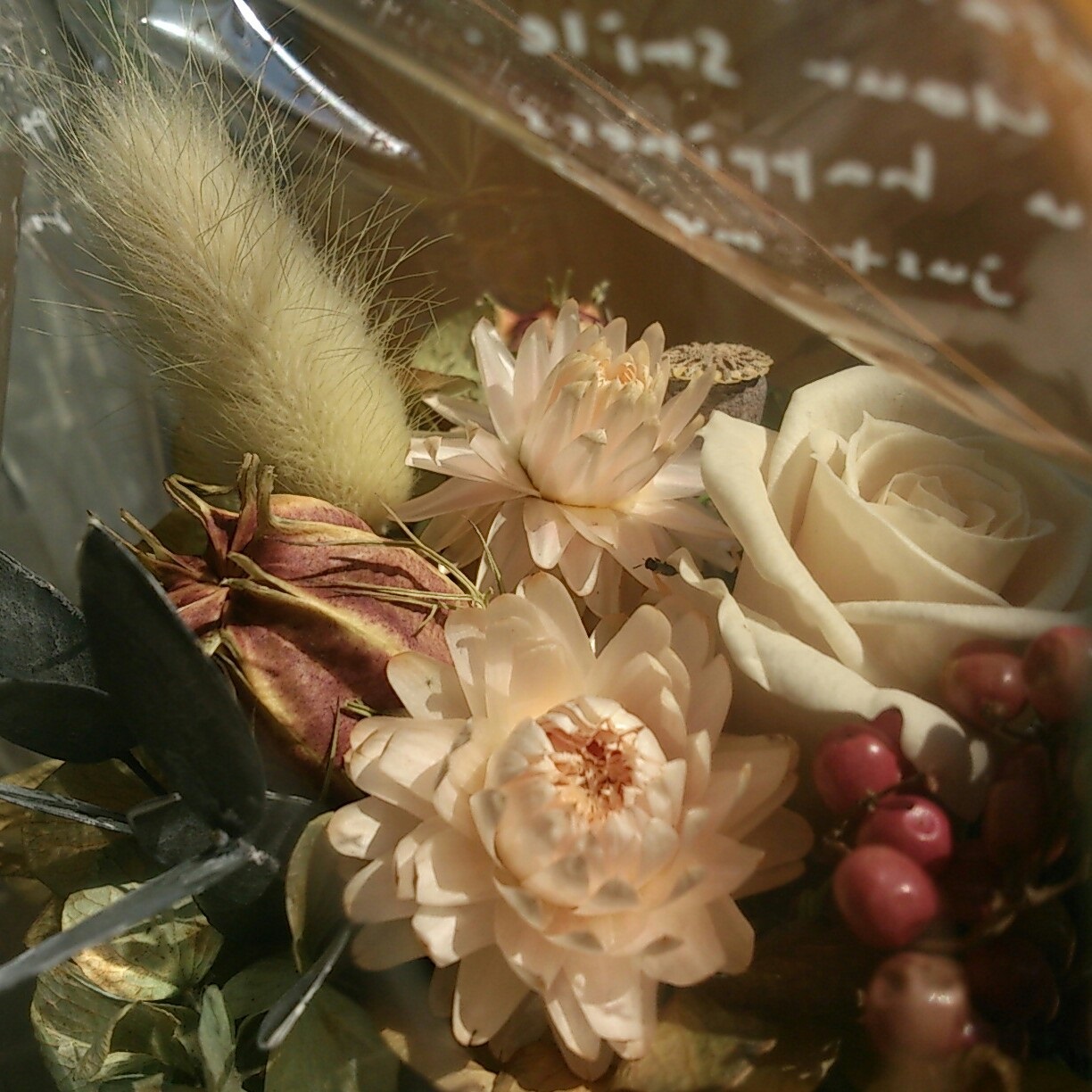 b0237234_12140180.jpg