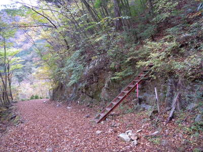 e0272335_8191569.jpg