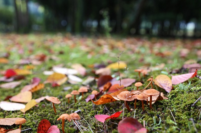 a0242438_19461736.jpg