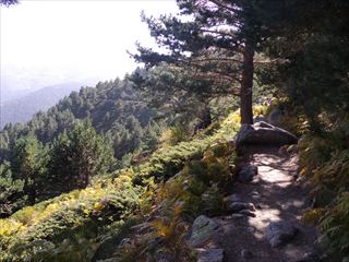 e0120938_23242511.jpg