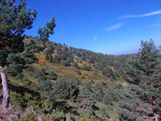 e0120938_23242593.jpg