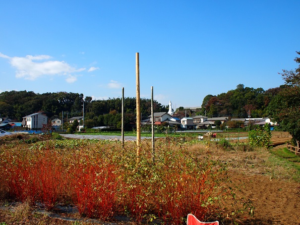 e0272042_18032348.jpg