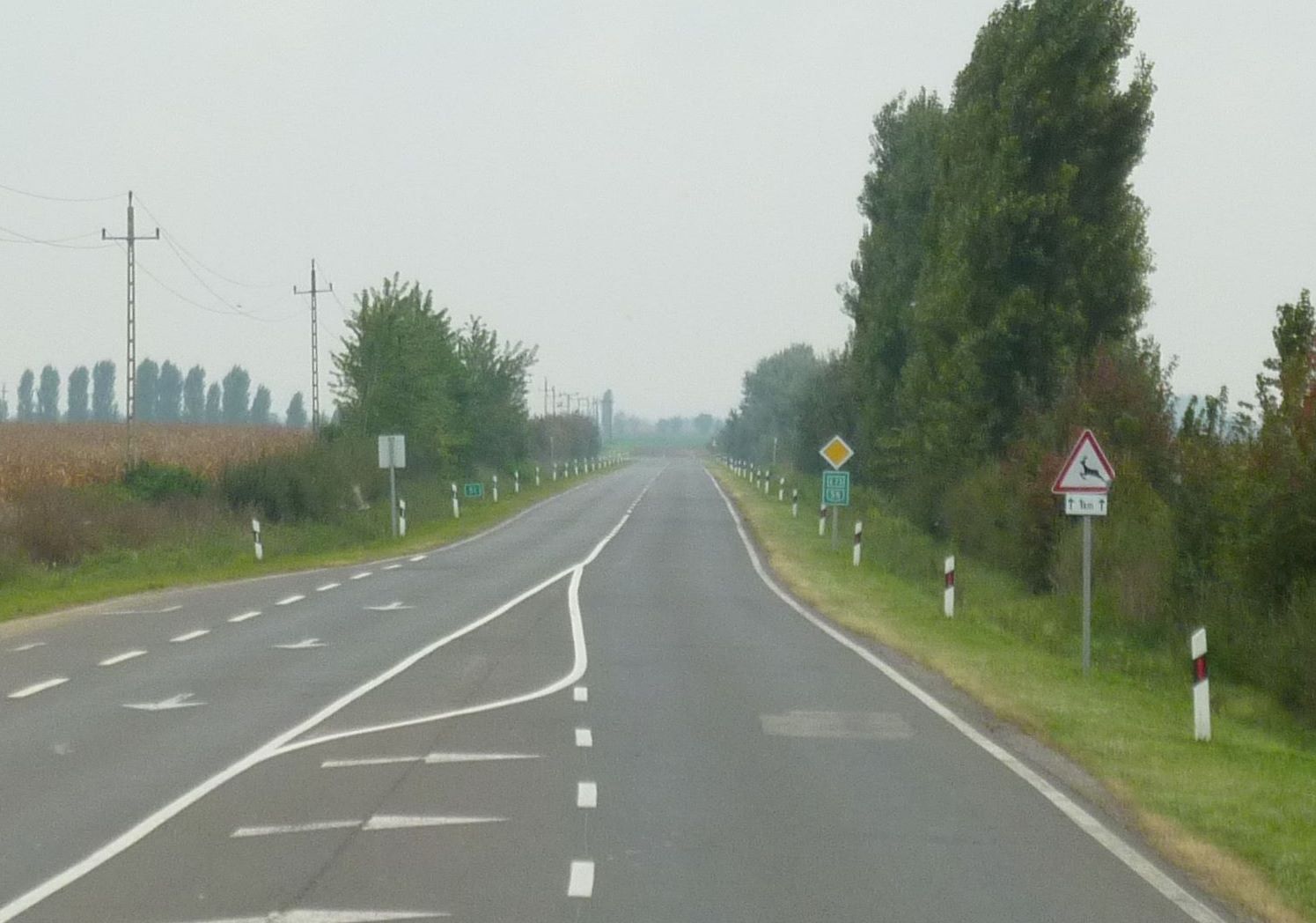 b0082147_2391370.jpg