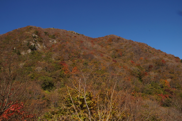 紅葉の三瓶山 清治の花便り 紅葉の三瓶山 清治の花便り