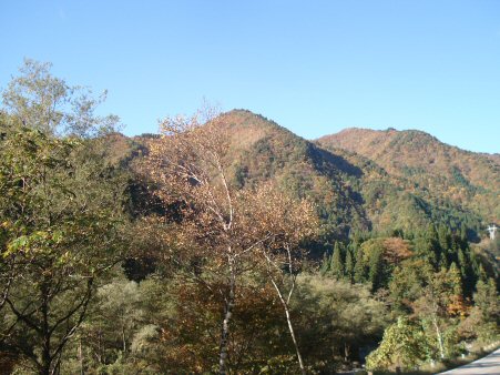 f0329554_18233603.jpg